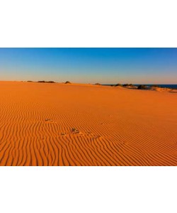 John Xiong, Myall Lakes Dunes