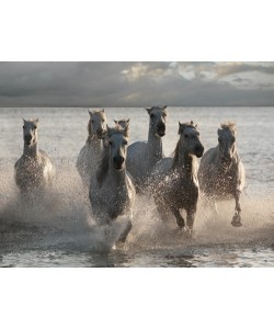 Jorge Llovet, Horses Landing at the Beach