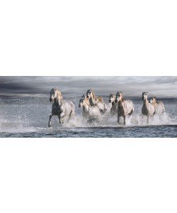 Jorge Llovet, Horses Running at the Beach