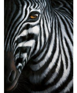 Jutta Plath, Zebra I