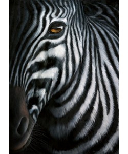 Jutta Plath, Zebra I