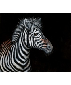 Jutta Plath, Zebra II