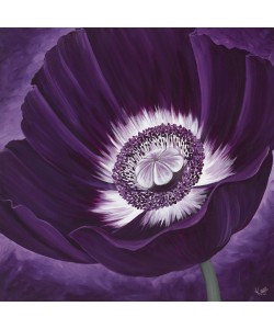 Kaye Lake, Purple Passion II