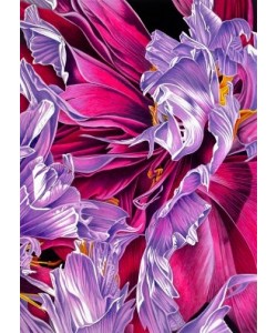 Karl Black, Serenity in Pink