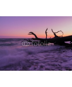 kentauros, Abenddämmerung an Rügens Kreideküste