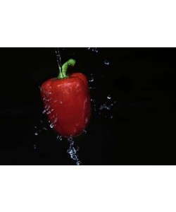 Kirsten          Riedt           , Spritziges Gemüse I