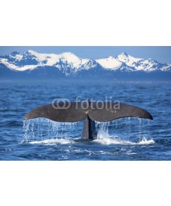 Kjersti, Whale tail