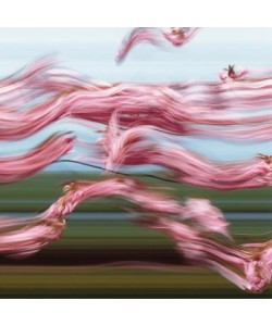 Kramer Henning, Tide Turner 10