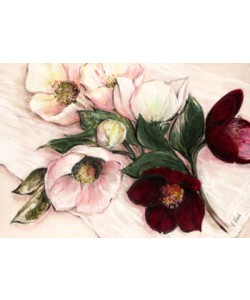 Elisabeth Krobs, Elegant Anemones