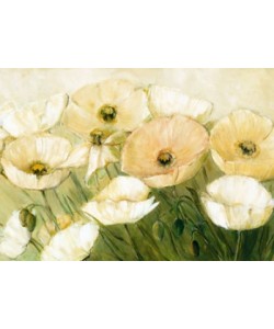 Elisabeth Krobs, Tender Poppies