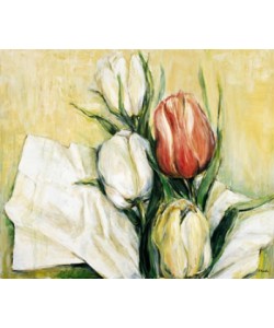 Elisabeth Krobs, Tulipa Antica