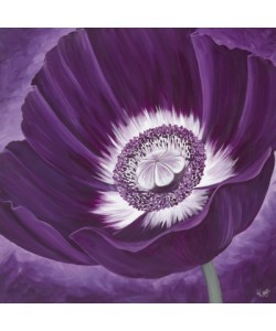 Kaye Lake, PURPLE PASSION II