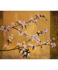 Erin Lange, Cherry Blossoms