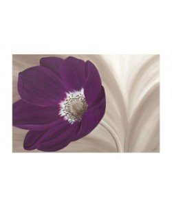 Kaye Lake, VELVET ANEMONE