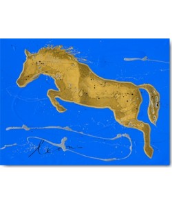 Leon Bosboom, Caballo Orode Salto