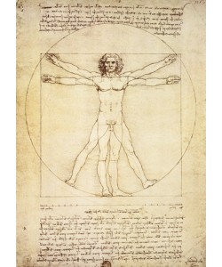 Leonardo da Vinci, Vitruvian Man