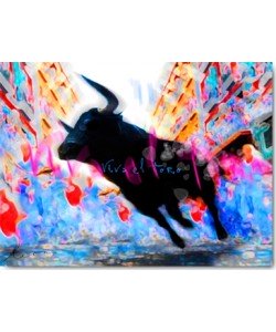 Leon Bosboom, Viva el Toro