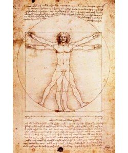 Leonardo da Vinci, Proportionszeichnung nach Vitruv