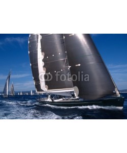 linous, Les Voiles de Saint Tropez