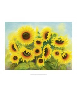 Werner Lind, Blumen der Sonne