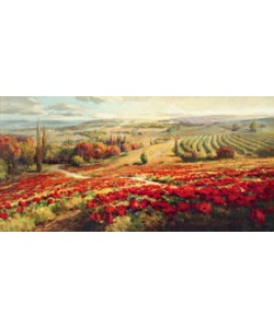 Roberto Lombardi, Red Poppy Panorama