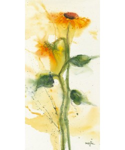 Marthe, Tournesol II