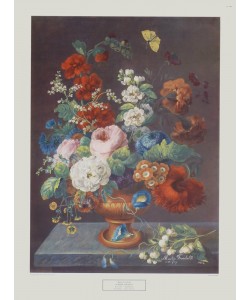 Martin Fromhold, Sommerblumen