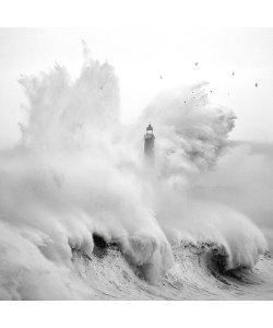 Marina Cano, Birds in the Storm