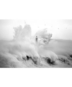 Marina Cano, Birds in the Storm