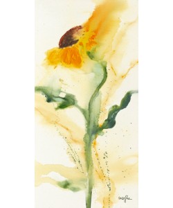 Marthe, Tournesol I