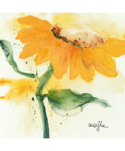 Marthe, Tournesol IV