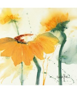 Marthe, Tournesol V