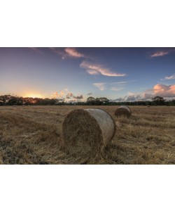 Markus Scholz, Herbst im Norden