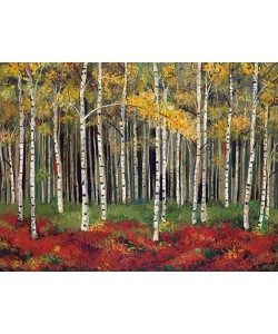 Miro Kenarov, Aspen Forest