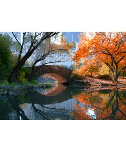 Michael Chen, Gapstow Bridge, Fall