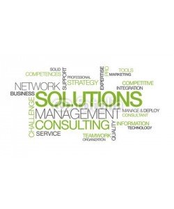 morganimation, Network Solutions management consulting word tag cloud image