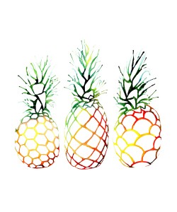Sam Nagel, Retro Pineapples