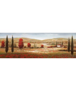 Nan, Tuscan Poppies I