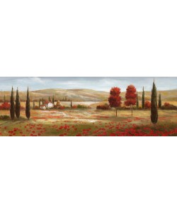 Digitaldruck Nan, Tuscan Poppies II