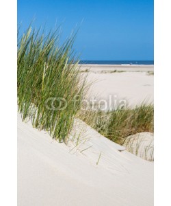 narttekg, Dünenlandschaft auf Norderney, Deutschland