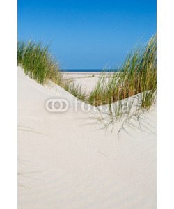 narttekg, Dünenlandschaft auf Norderney, Deutschland