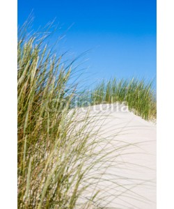 narttekg, Dünenlandschaft auf Norderney, Deutschland