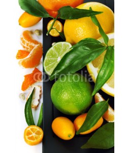 Natalia Klenova, Citrus fruits border