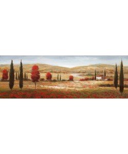 Nan, Tuscan Poppies I