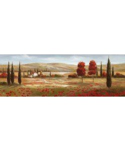 Nan, Tuscan Poppies II