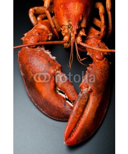 nanisimova, Prepared lobster on black