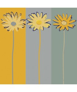 Rod Neer, Marguerite On Stripes