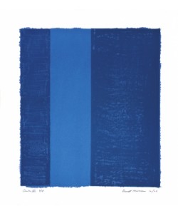 Barnett Newman, Canto VII, 1963