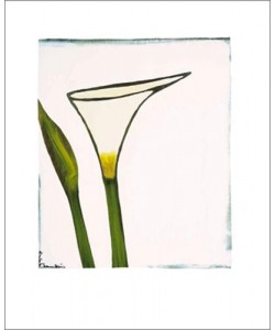 Nicolas Le Beuan Bénic, Arum, 2003