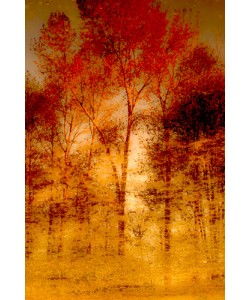 Norm Stelfox, Autumnal Grunge